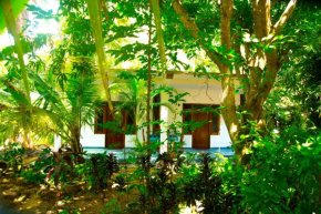 Гостиница Amba Sewana Homestay  Сигирия